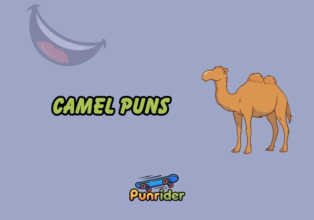 Camel Puns