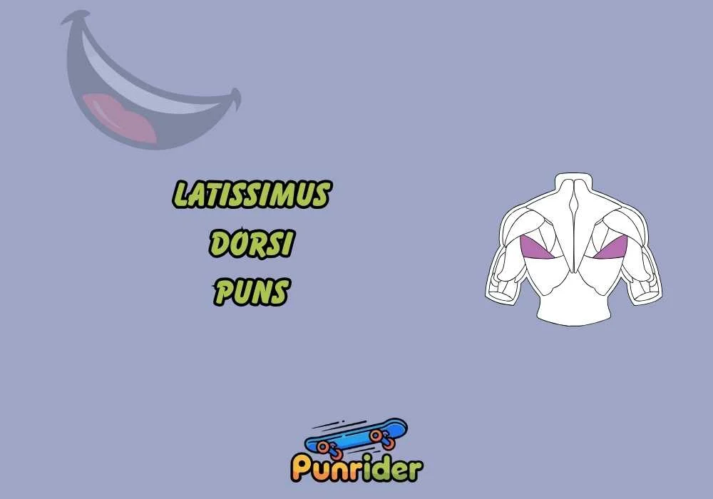 Latissimus Dorsi Puns