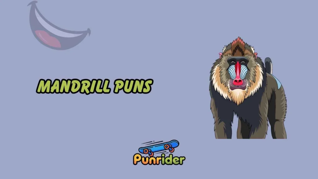 Mandrill Puns