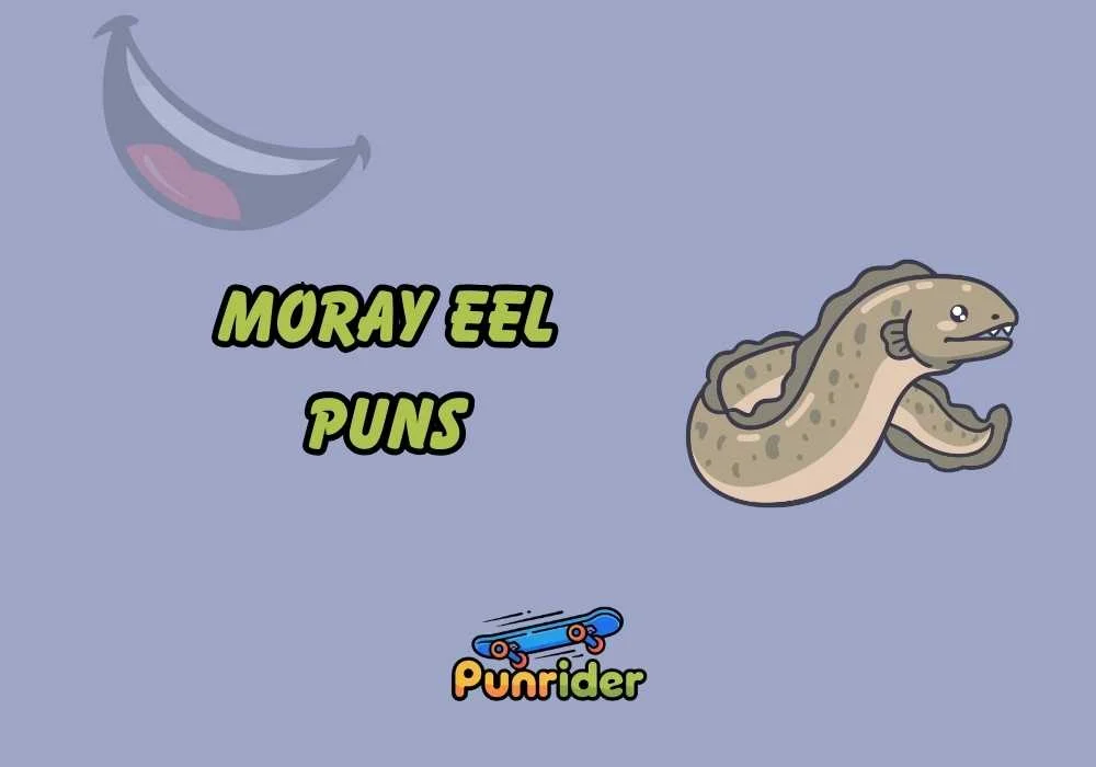 Moray Eel Puns