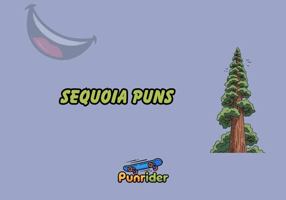 Sequoia Puns