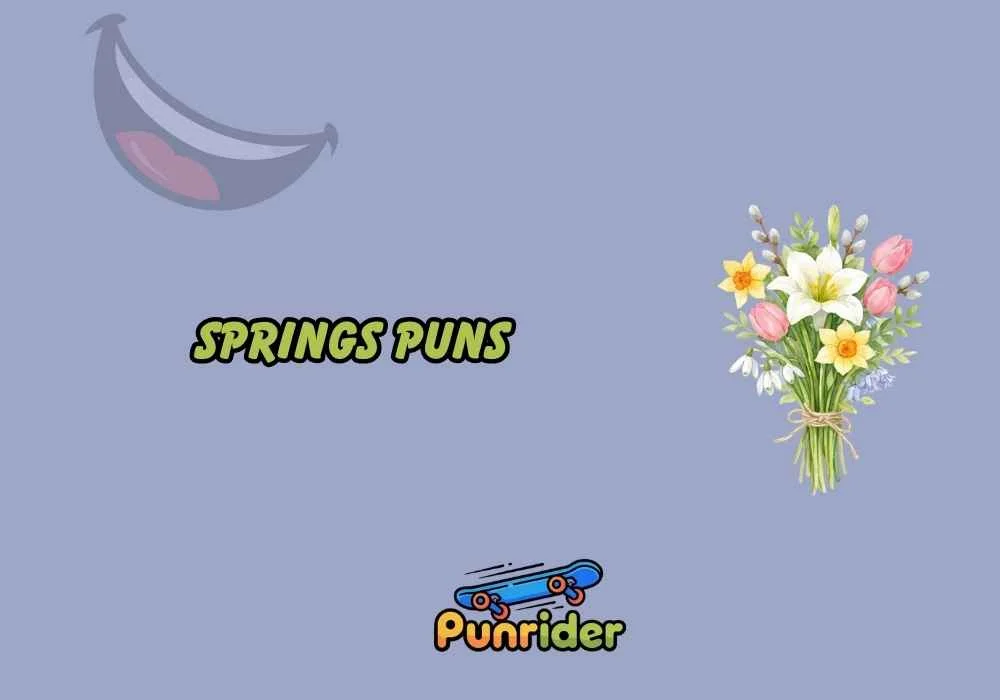 Springs Puns